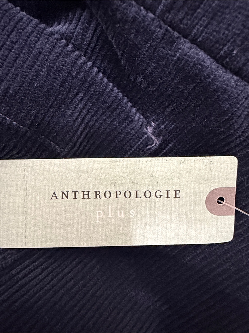NWT Anthropologie Maeve Colette  
Crop Pant Navy Corduroy Wide Leg Plus Size 26W - Picture 10 of 10